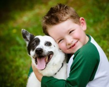 4 Tips to Keep Kids Safe Around Dogs